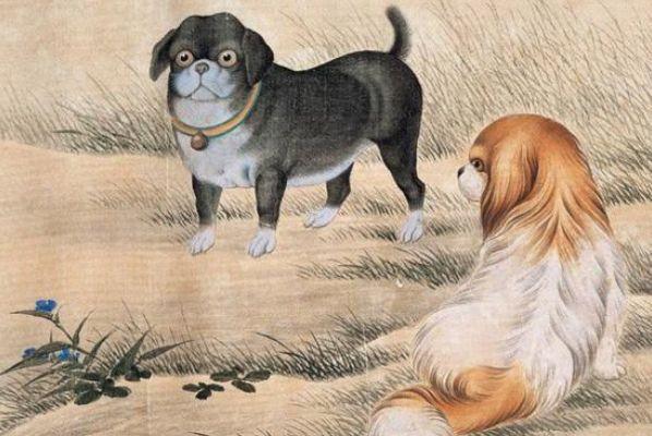 1970年出生的生肖狗,从五行的角度看,1970年属于金狗.