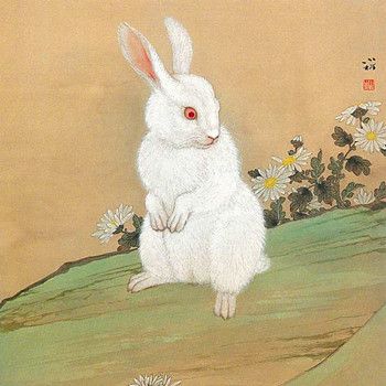 寒衣节出生的属兔人命运好不好属兔的和什么属相最配