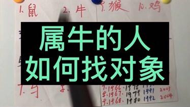 十二生肖之牛 属牛的找对象和相亲