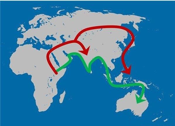 人类多次从非洲迁徙到其它大陆