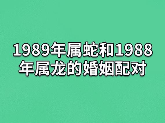 龙生肖配对年龄表图 十二生肖龙婚配表及年龄表是什么意思?