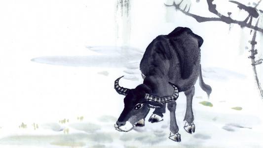 国画十二生肖牛