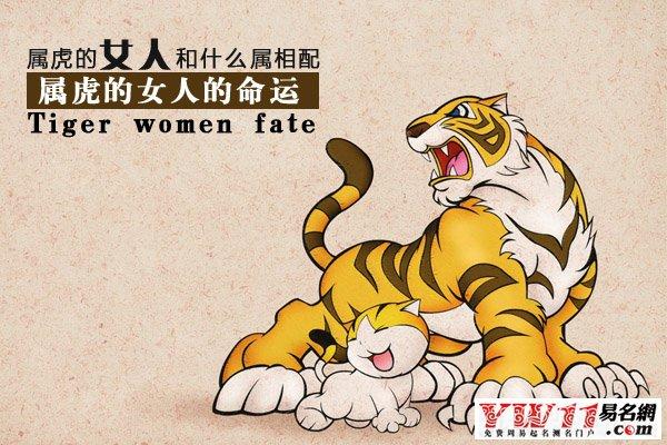 属虎的女人详解