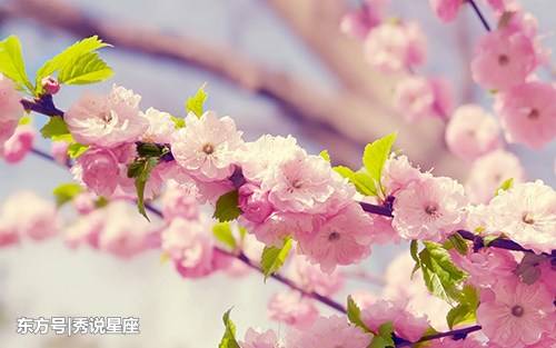 8女神节前后,桃花朵朵开的生肖女,你的命中注定呢?