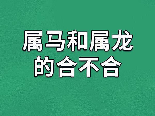 属马和属龙的合不合