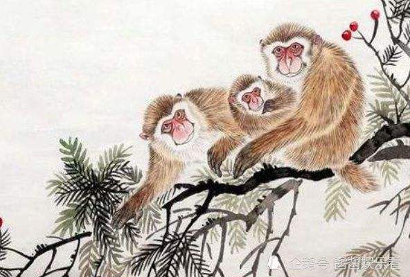 这个年份的属猴人,吃亏和吃苦对他们来说就是家常便饭,因为他们的命运