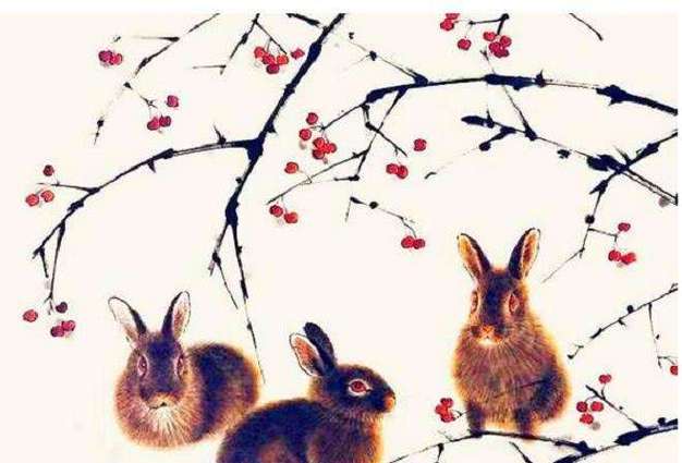 属兔的与狗羊猪是最相配,是的兔子的配偶属相  1属兔人出生年份年,年