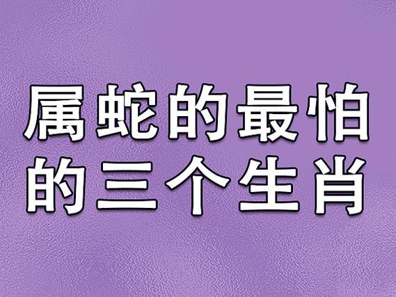 性格有很多相似之处,相处融洽,感情不错和猪相冲的生肖生肖蛇 当属相