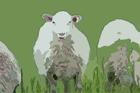 生肖 属羊今年幸运色是什么 哪些颜色能帮助属羊人开运随着时间的