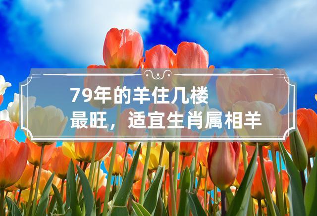 79年的羊住几楼最旺,适宜生肖属相羊的楼层