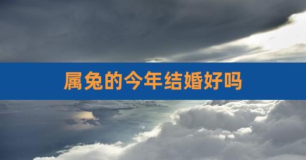 属兔的今年结婚好吗,属兔的今年结婚吉日