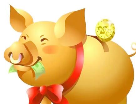 属猪- 生肖猪 - 猪年出生的人命运,运程及运势大全