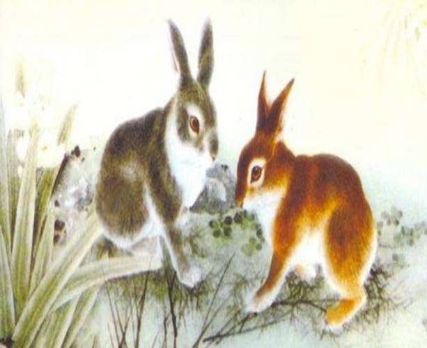 属兔人农历十一月运势干支甲子,本月属兔人卯子相刑,工作上小人是非