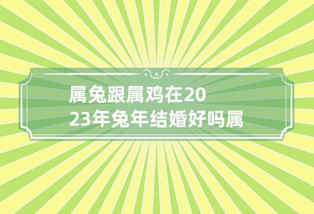 属兔跟属鸡在2023年兔年结婚好吗 属相兔跟属相鸡可以结婚吗