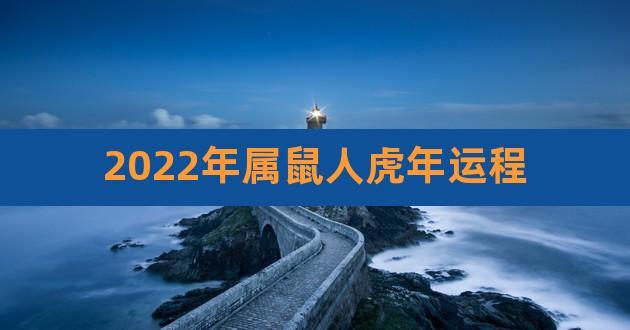 2023年属鼠人虎年运程,属鼠人虎年运程