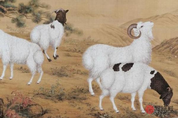 属羊人的吉祥数字是什么