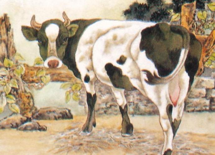 1985年的生肖牛是什么命?