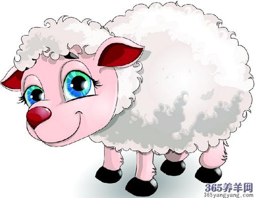 【羊图片】高清羊的图片大全,可爱的生肖羊卡通图片_365养羊网