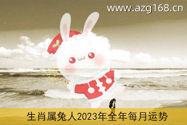 生肖属兔人2023年全年每月运势