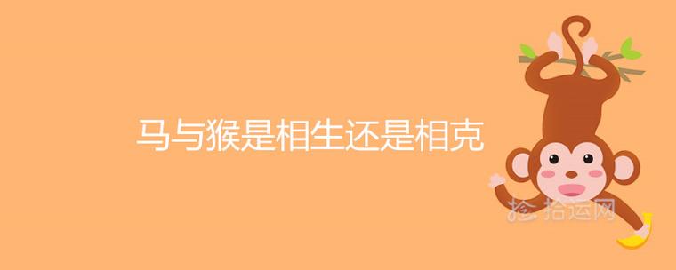 十二生肖中,每一种属相都有与之相合和相冲的属相,一般来说,相合之人