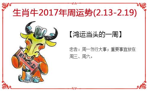 生肖牛每周运势指南(2.13-2.19)