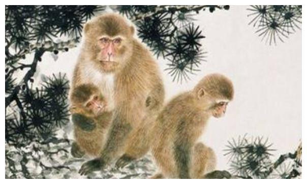 属猴人12月运势穿什么颜色鞋子最旺生肖猴12月4号开始转变