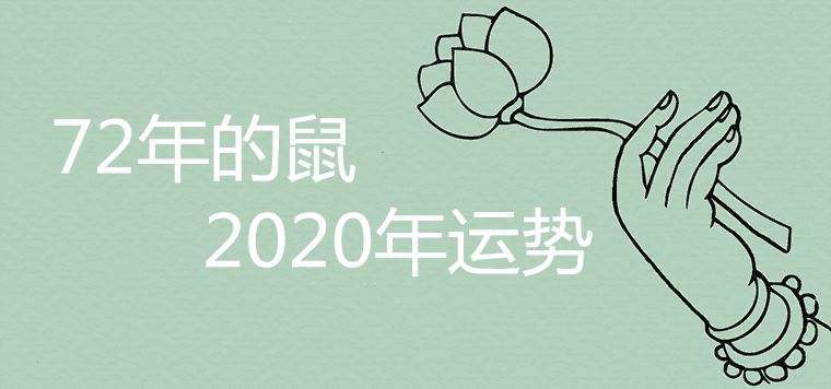 学业等运势预测查询还要等后续更新总之属鼠人的在2023年仍然继续过着