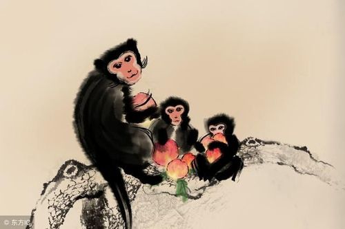 属猴的朋友在很多人眼中都是通情达理的,他们善于为人处世,可是生肖猴