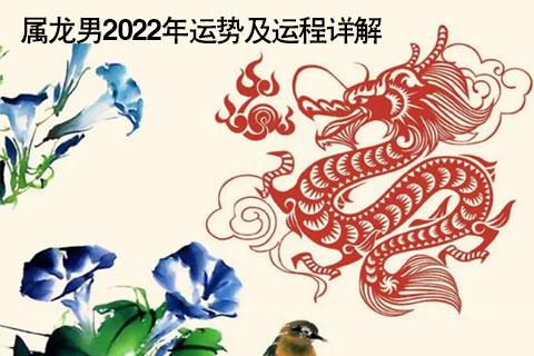 2023年属龙人的全年运势男性_2023年生肖运势_祥安阁风水网