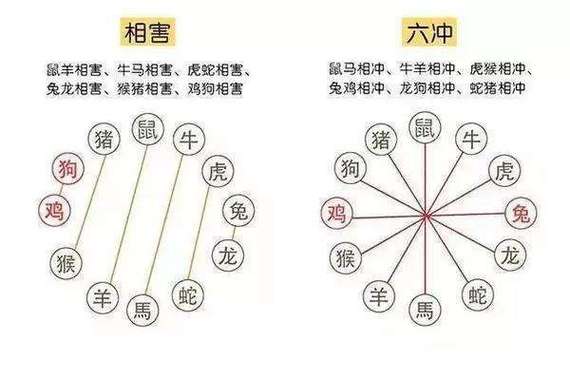 十二生肖的相害相合表 十二生肖相害是什么意思