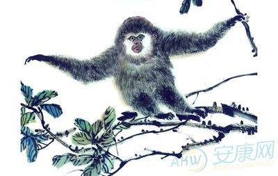 起名网 十二生肖运势 生肖猴   猴在十二 生肖中排行第九,是人们极为