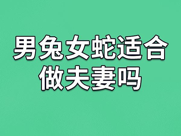 属兔男和属蛇女结为夫妻的话,还是很相配的.