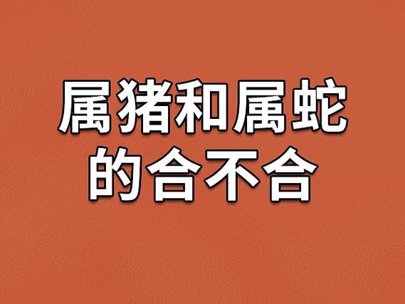 1,属相不合属猪和属蛇的合不合.