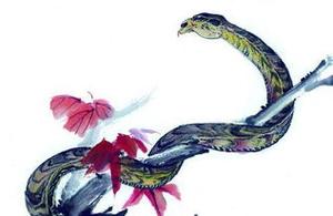 属蛇三合的是什么生肖蛇和什么生肖最配属蛇的属相婚配表大全