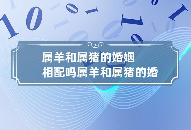 属羊和属猪的婚姻相配吗 属羊和属猪的婚配好吗