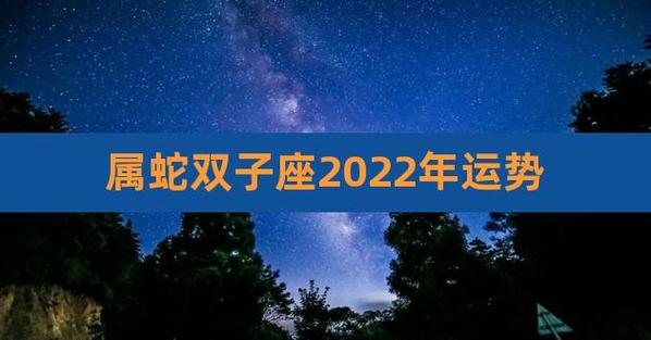 属蛇双子座2023年运势