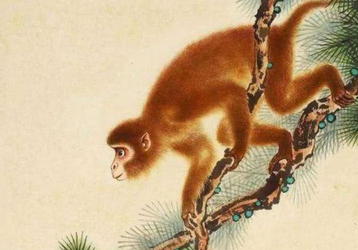 92年的猴子是什么命五行属什么 1992年属猴一生三大劫