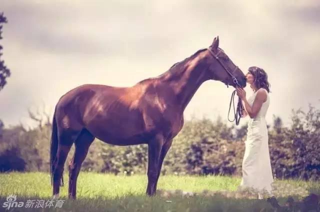 牵着马走进婚姻怎么样?